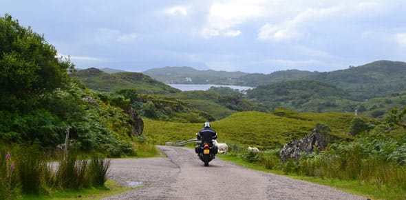 smalle weg tussne het groen langs loch morar